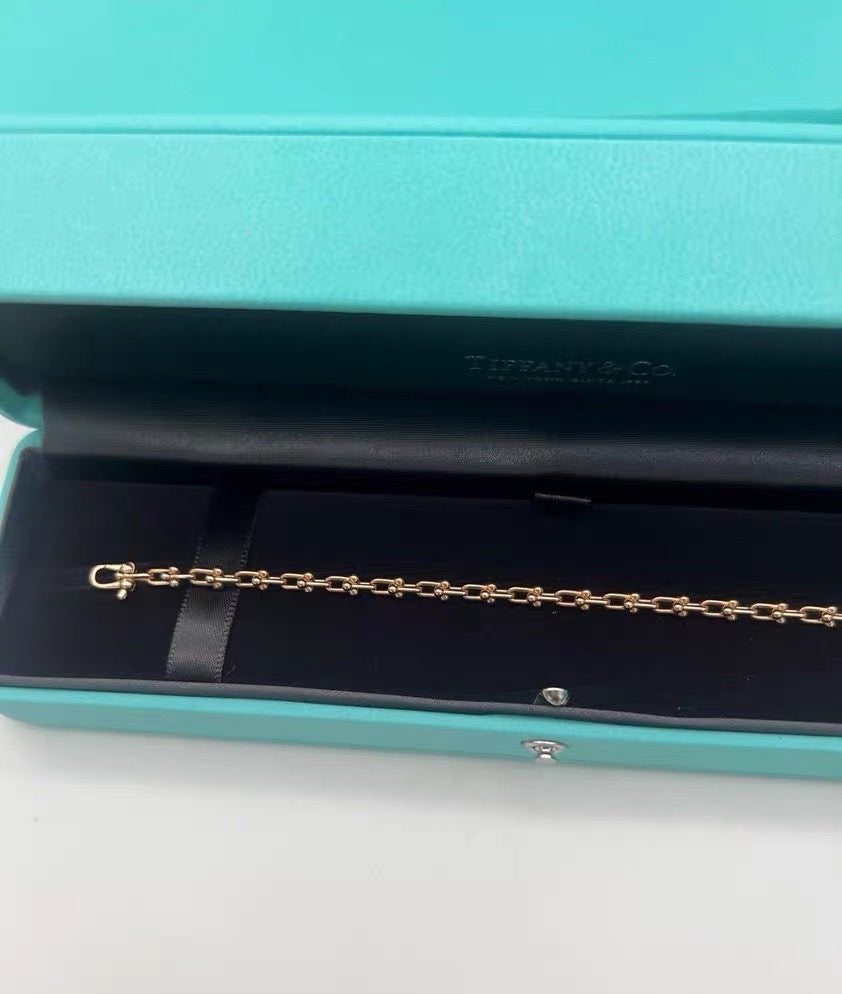 [Eternal Jewelry] T Micro Link Bracelet